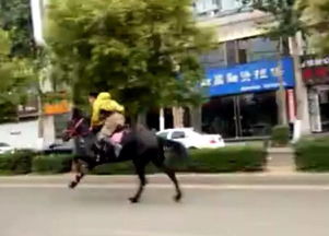 骑马比汽车快多少